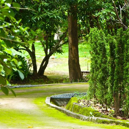 Golden Teak Homestay ماي ريم المظهر الخارجي الصورة